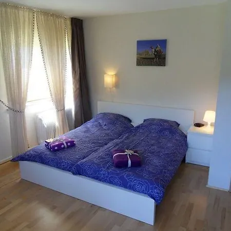 Holiday Am Kurpark Tatil Evi