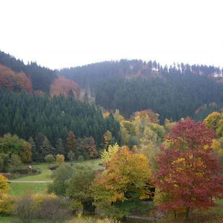 Tatil Evi Holiday Am Kurpark